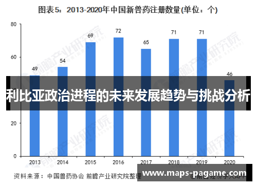利比亚政治进程的未来发展趋势与挑战分析