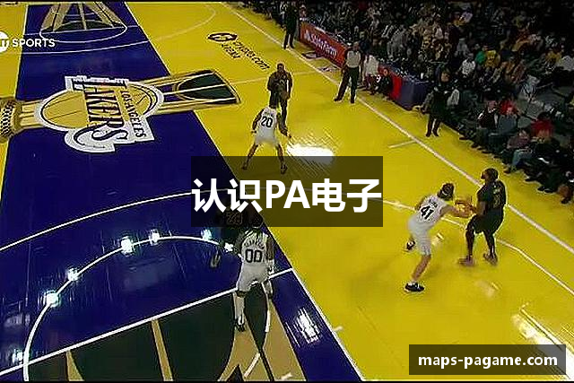 认识PA电子